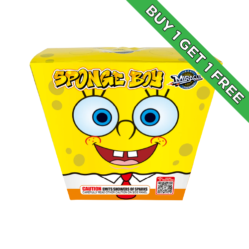 Sponge Boy
